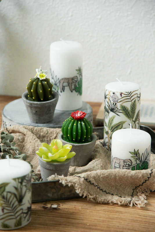 Handmade Succulent Candles and Decorative Baking Cups Are Well Received by Users