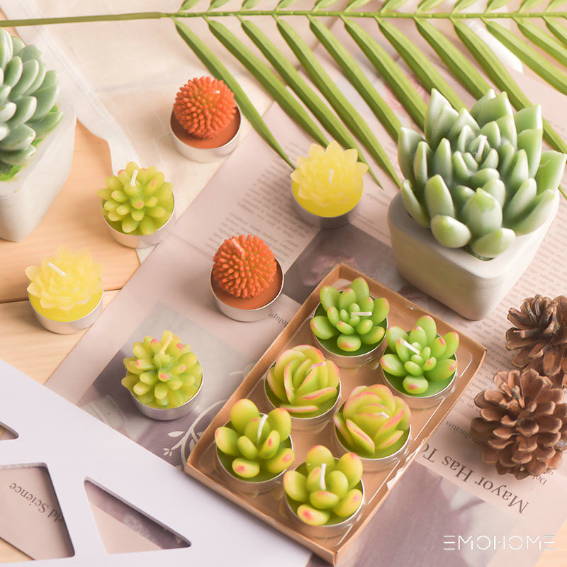 Succulent candles are a unique and stylish way to add a touch of natural beauty to your home